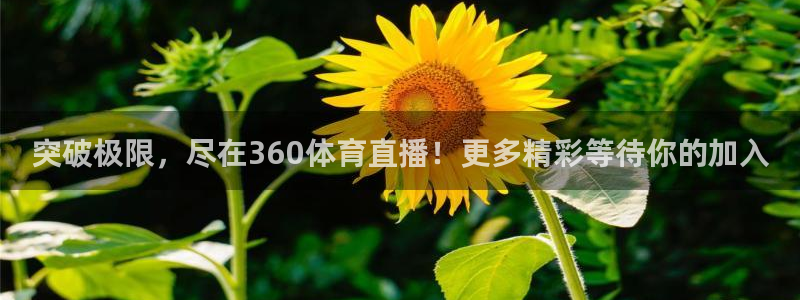 突破极限，尽在360体育直播！更多精彩等待你的加入